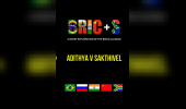 BRIC+S: A Short Exploration of the BRICS Alliance