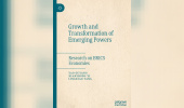 Growth and Transformation of Emerging Powers: Research on BRICS Economies