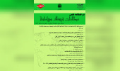 Diplomacy of International Organizations: Iran and Membership in BRICS