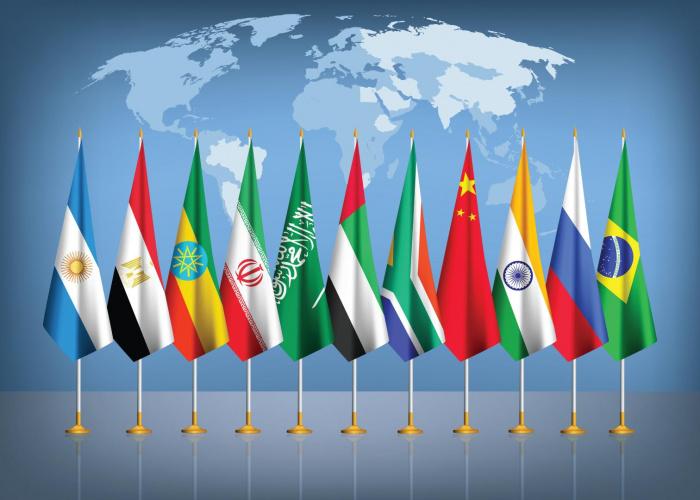 Launching the BRICS Digital Library