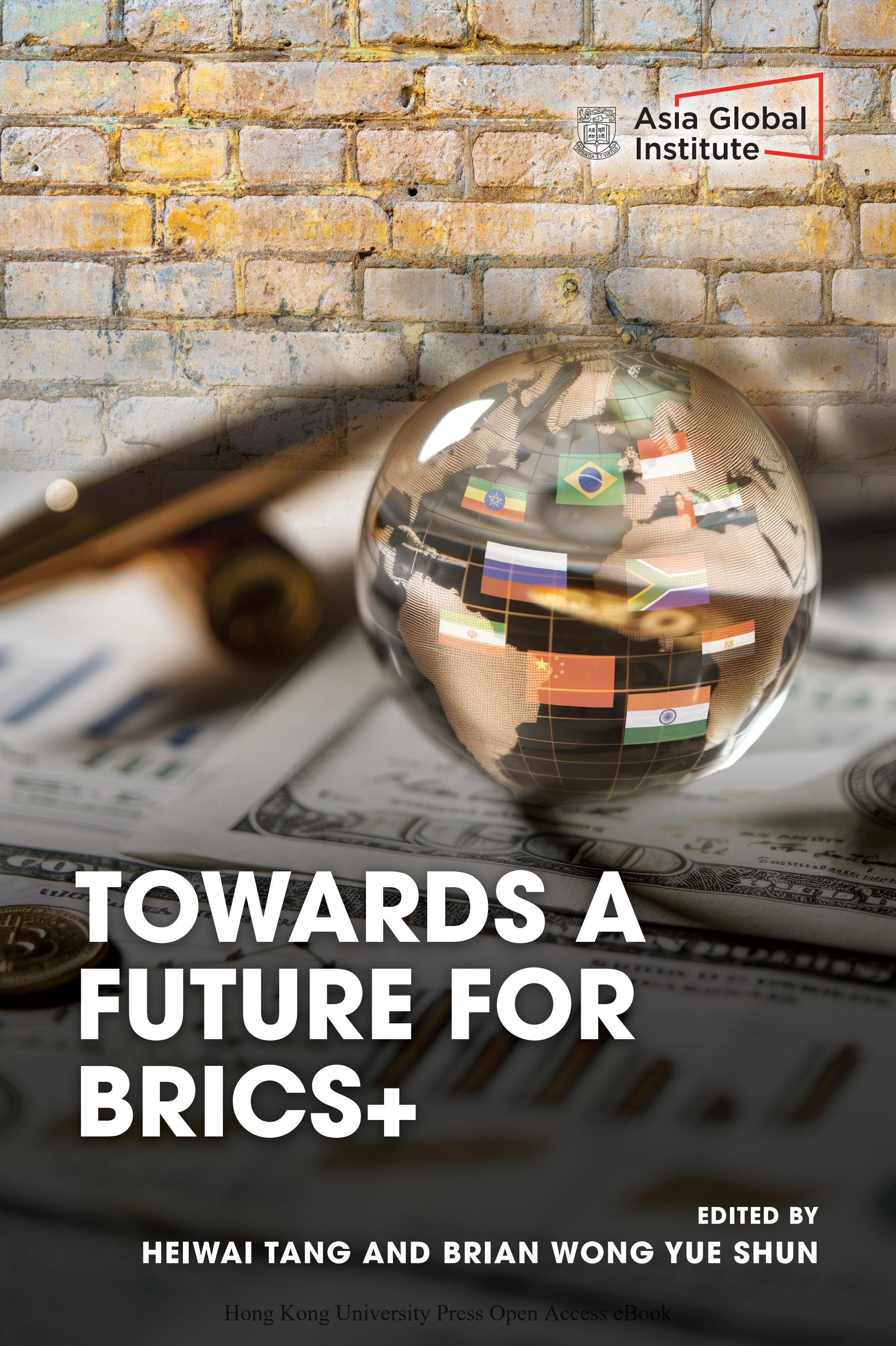 Towards a Future for BRICS+