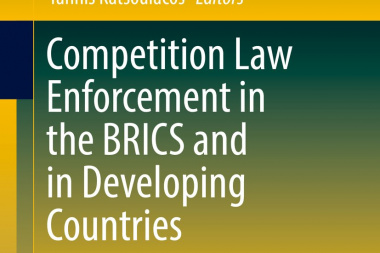 Competition law enforcement in the BRICS and in developing countries