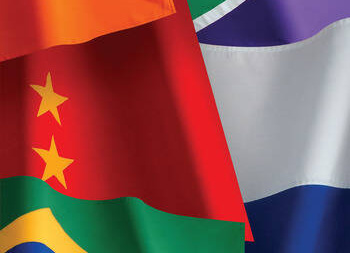 The BRICs and coexistence