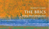 The BRICS: A Very Short Introduction