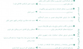 بررسی تأثیر شاخص‌های حکمرانی خوب و اندازه دولت بر شاخص فساد در کشورهای گروه بریکس و ایران