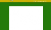 بریکس و نهادسازی بین‌المللی